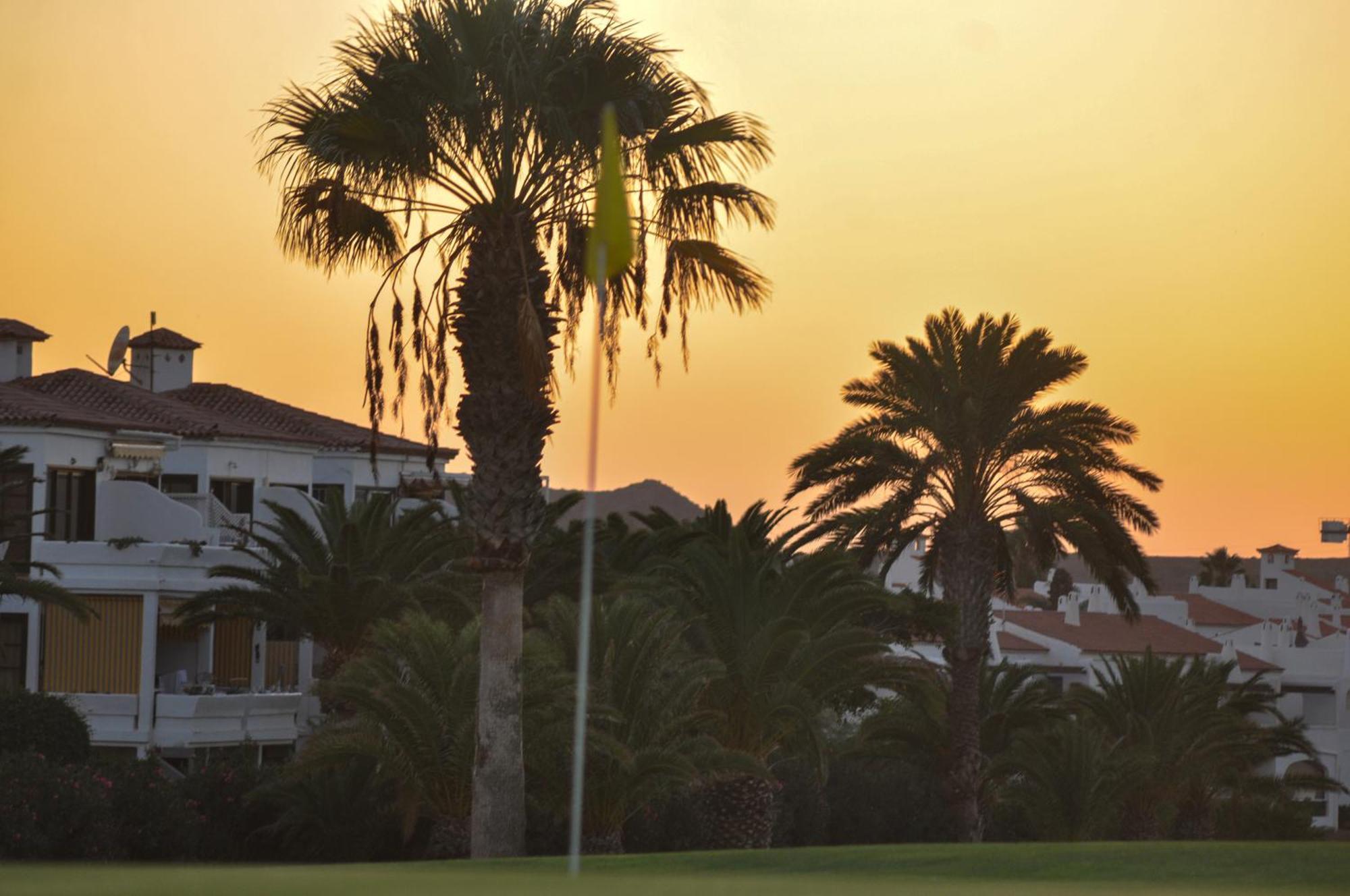 圣米格尔德阿沃纳The Palms Golf Del Sur - Casa Andromeda公寓 外观 照片
