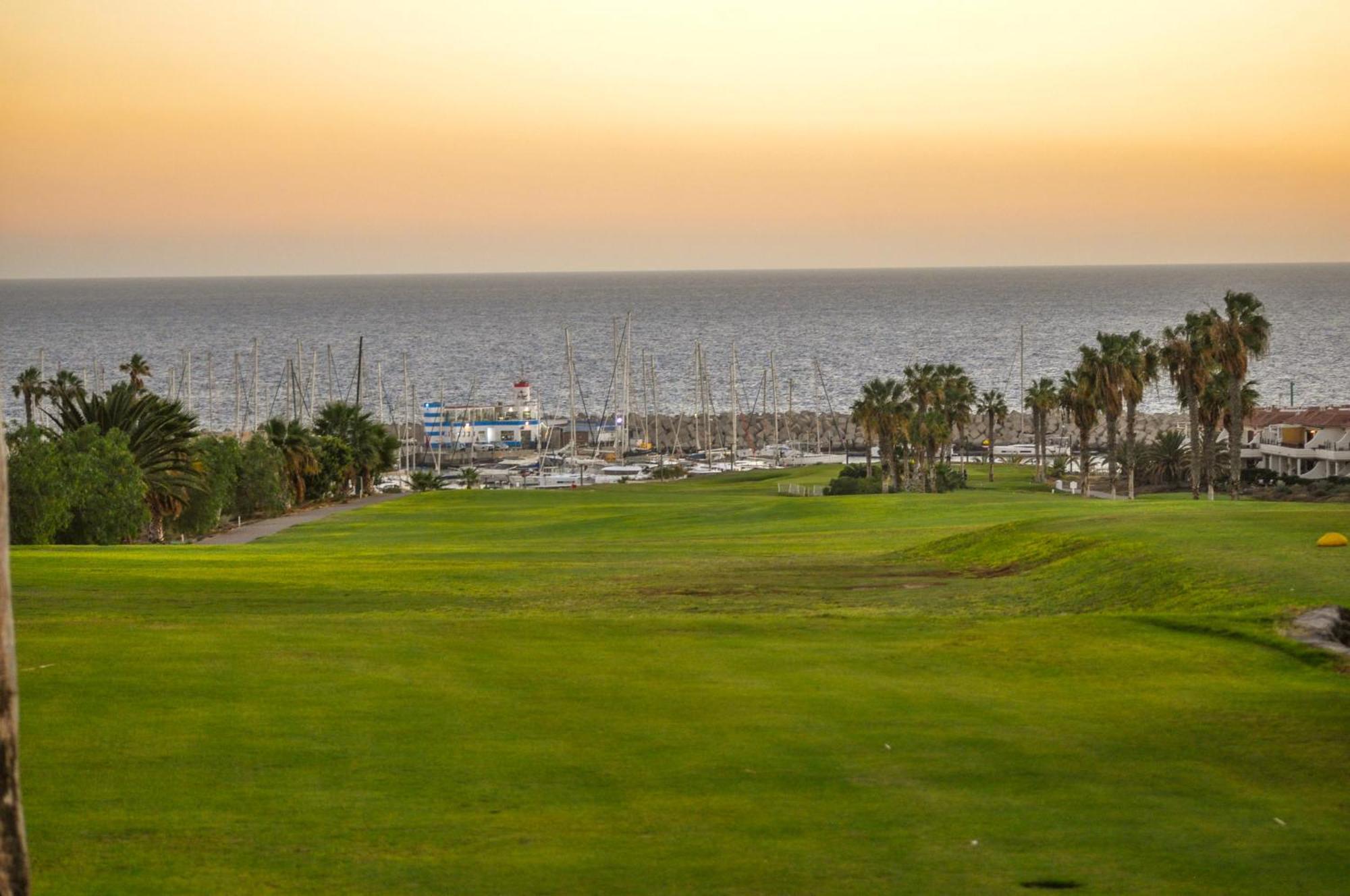 圣米格尔德阿沃纳The Palms Golf Del Sur - Casa Andromeda公寓 外观 照片